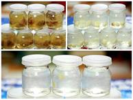 Bí quyết mua tổ yến không chọn nhầm hàng giả
